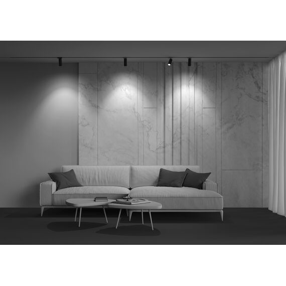 Трековый светильник Technical TR021-1-124K-Z-B, изображение 9