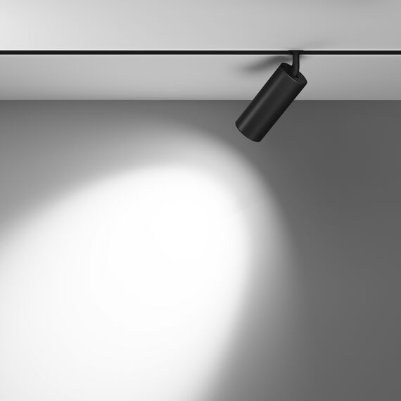 Трековый светильник Technical TR032-2-20W3K-M-B, изображение 6