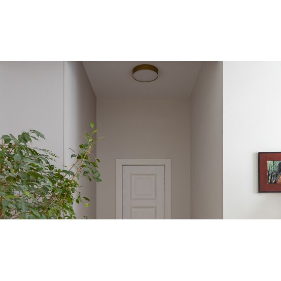 Потолочный светильник Technical C032CL-36W4K-RD-MG, изображение 2