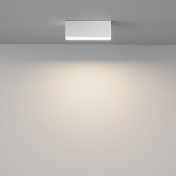 Потолочный светильник Technical C068CL-12W3-6K-W, изображение 4