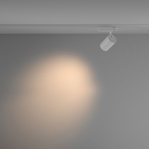 Трековый светильник Technical TR029-3-20W3K-M-W, изображение 4