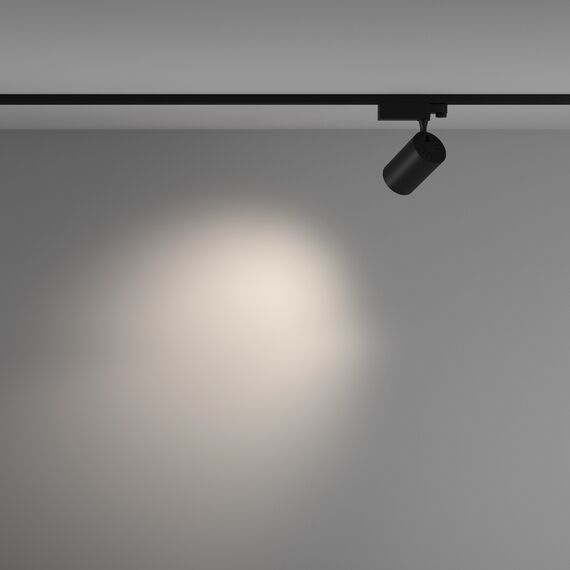 Трековый светильник Technical TR029-3-20W4K-M-B, изображение 6