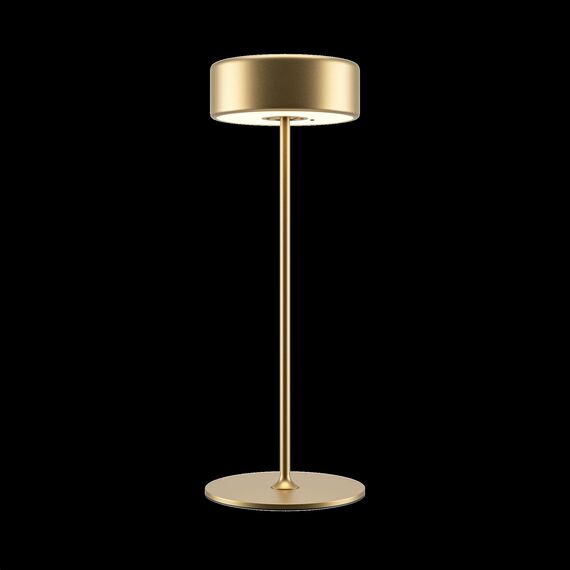 Аккумуляторный светильник Maytoni MOD229TL-L3G3K2, изображение 4