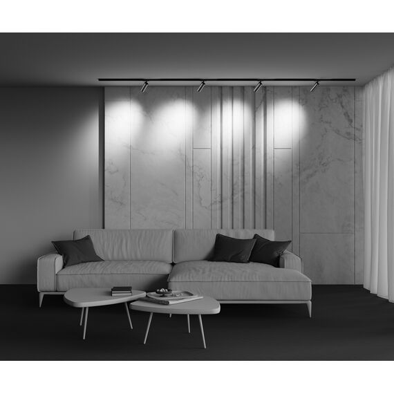 Трековый светильник Technical TR021-1-12W4K-W-BBS, изображение 14