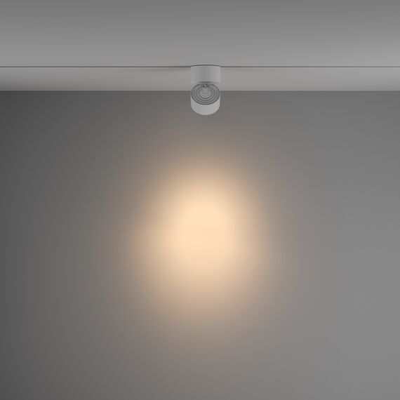 Трековый светильник Technical TR084-1-15W3K-W, изображение 10