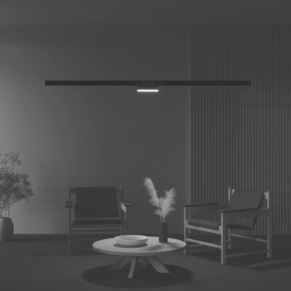 Трековый светильник Technical TR036-2-12W4K-B, изображение 7