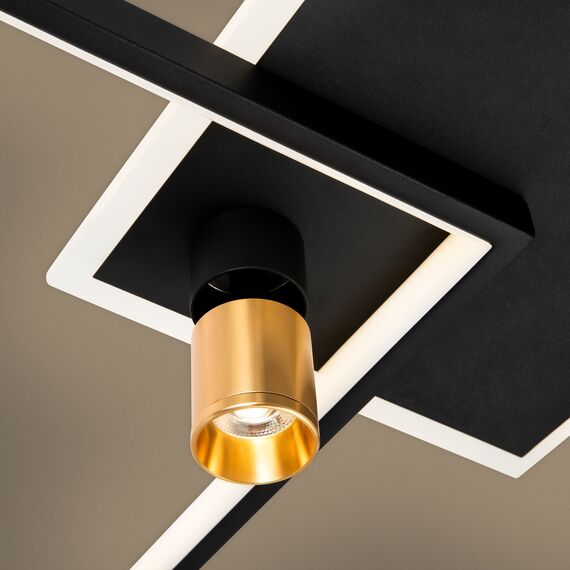 Потолочный светильник Freya FR6042CL-L76BBS, изображение 12