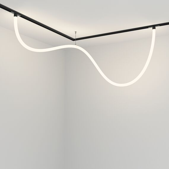 Трековый подвесной светильник Technical TR101-2-50W4K-B, изображение 4