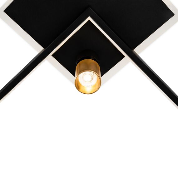 Потолочный светильник Freya FR6042CL-L76BBS, изображение 14