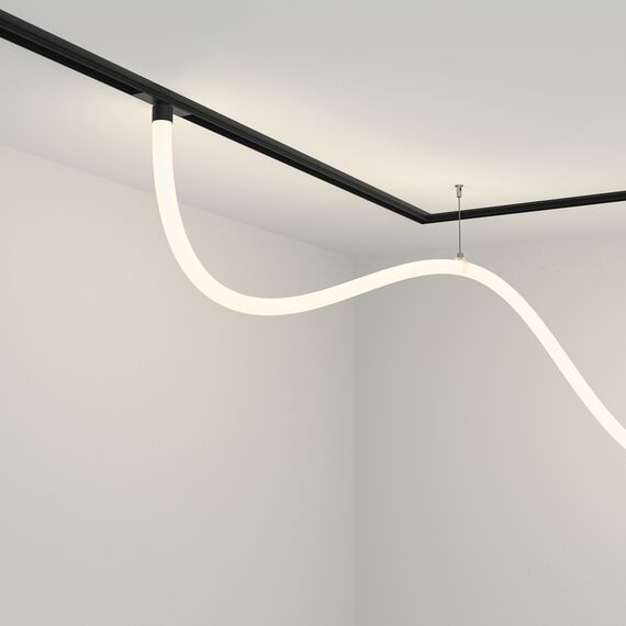 Трековый подвесной светильник Technical TR101-2-50W4K-B, изображение 2