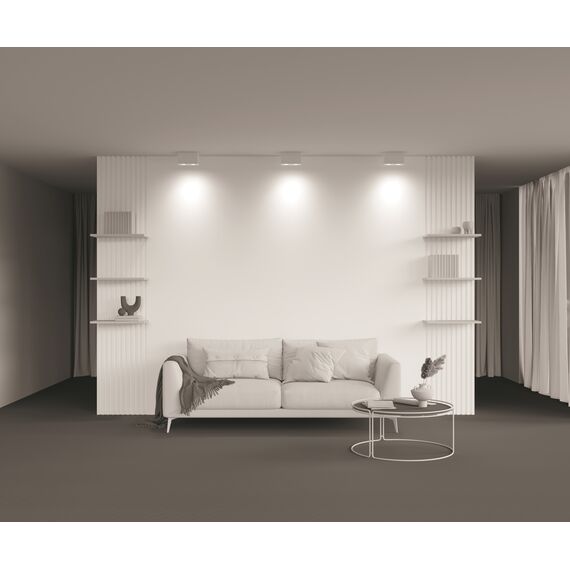 Потолочный светильник Technical C017CL-02W, изображение 3