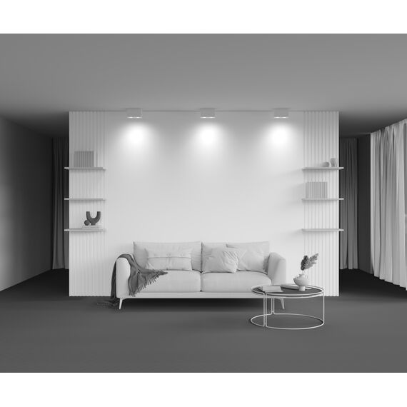 Потолочный светильник Technical C017CL-02W, изображение 8