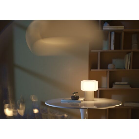Настольный светильник Maytoni MOD404TL-01BG, изображение 7
