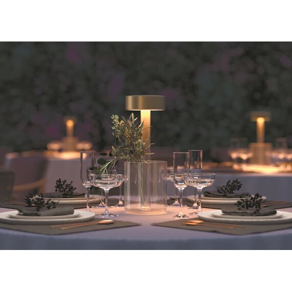 Аккумуляторный светильник Maytoni MOD229TL-L3G3K1, изображение 7