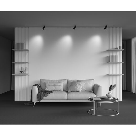 Трековый светильник Technical TR097-2-12W4K-M-BB, изображение 22