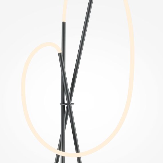 Напольный светильник (торшер) Maytoni MOD369FL-L36B3K, изображение 4