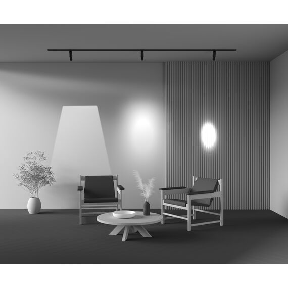 Трековый светильник Technical TR108-2-10W3K-B, изображение 7