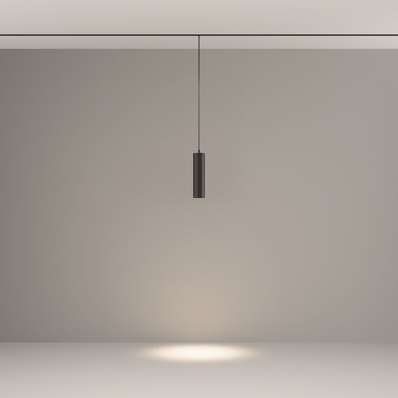 Трековый подвесной светильник Technical TR041-2-12W4K-B, изображение 3