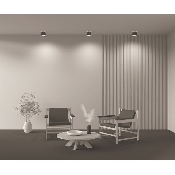 Потолочный светильник Technical C009CW-L16B4K, изображение 5