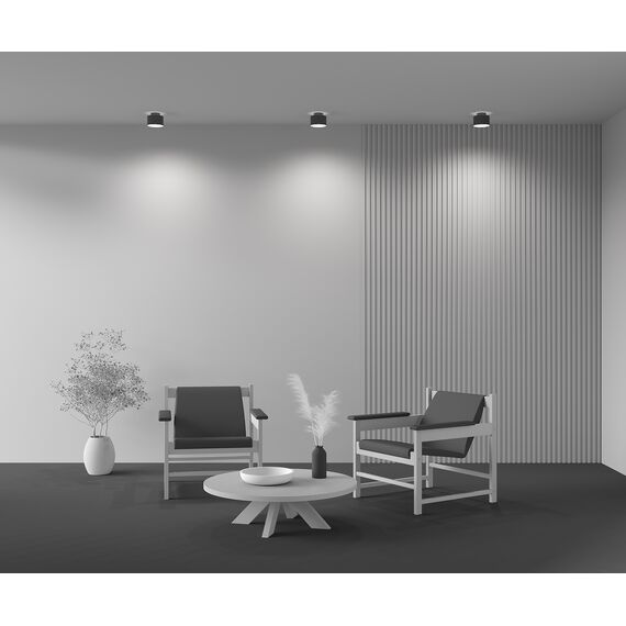 Потолочный светильник Technical C009CW-L16B4K, изображение 11