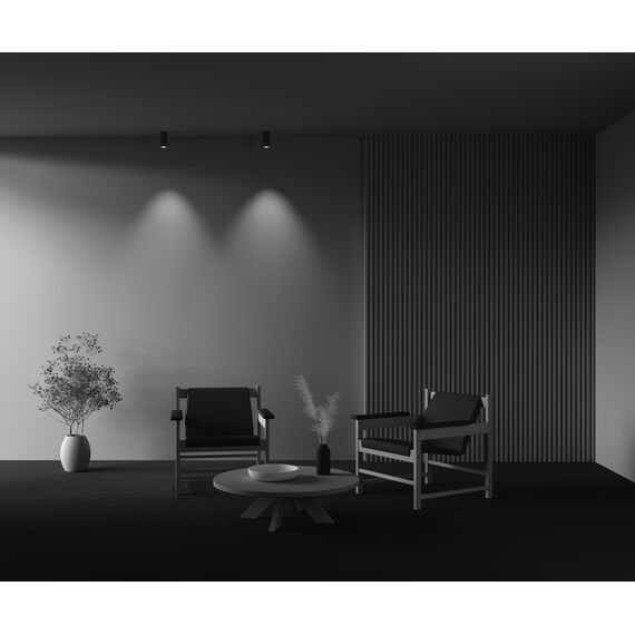 Потолочный светильник Technical C056CL-L12W4K-W-BS, изображение 11