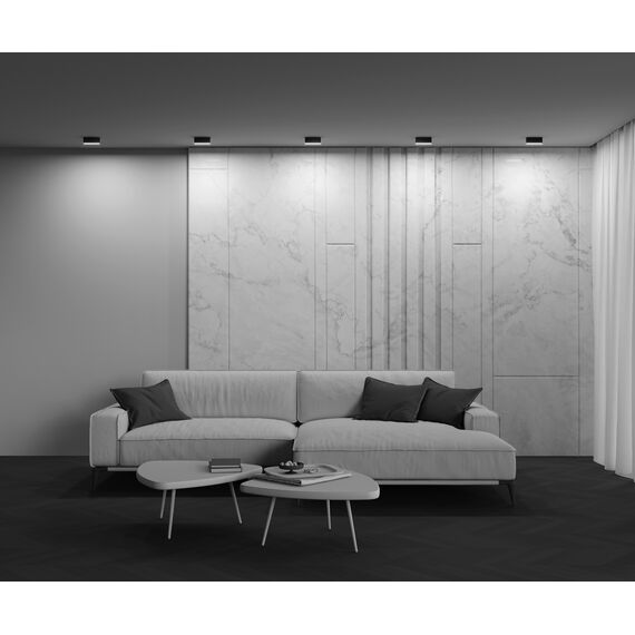 Потолочный светильник Technical C068CL-12W3-6K-B, изображение 8