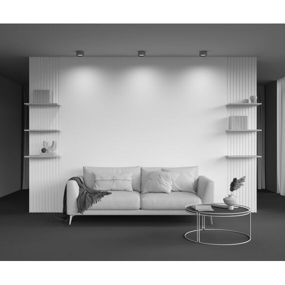 Потолочный светильник Technical C091CL-12W3K-BS, изображение 5