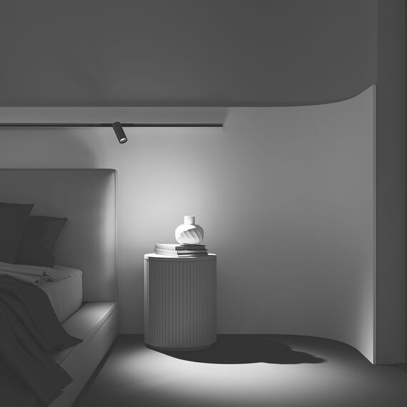 Трековый светильник Technical TR032-2-12W4K-M-BBS, изображение 11