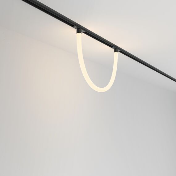 Трековый подвесной светильник Technical TR101-2-20W3K-B, изображение 4