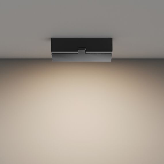 Потолочный светильник Technical C133CL-12W3K-B, изображение 6