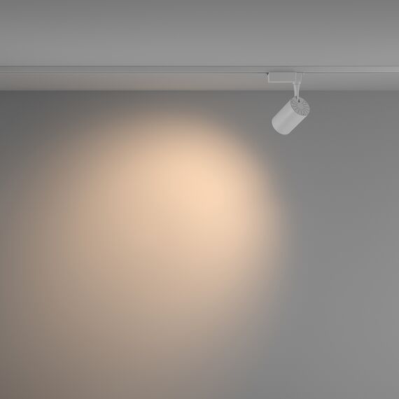 Трековый светильник Technical TR003-1-10W3K-W-W, изображение 5