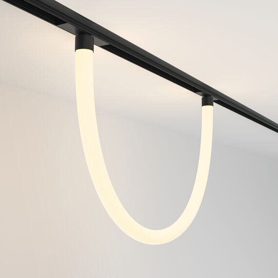 Трековый подвесной светильник Technical TR101-2-20W3K-B, изображение 2