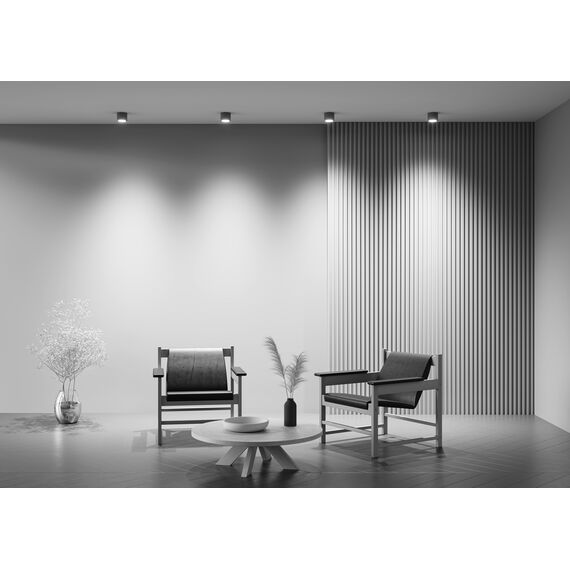 Потолочный светильник Technical C095CL-GX53-GR, изображение 6