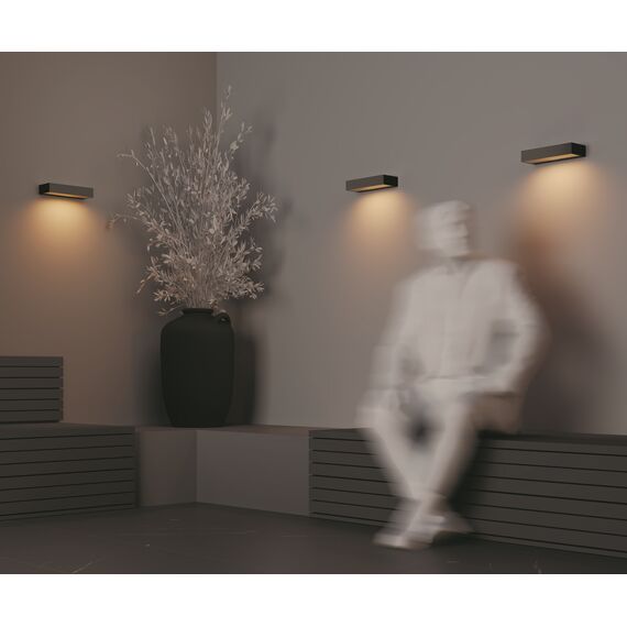 Настенный светильник (бра) Outdoor O428WL-L10GF3K, изображение 8