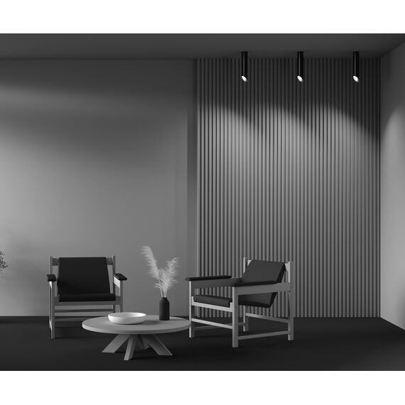 Потолочный светильник Technical C044CL-01-30GU10-B, изображение 6