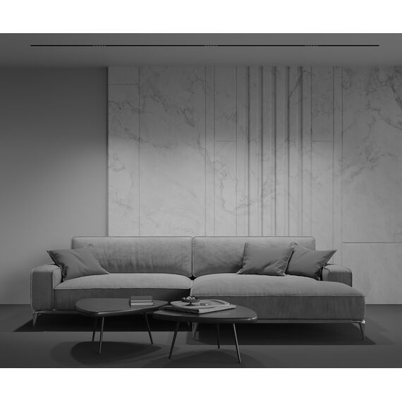 Трековый светильник Technical TR076-2-10W3K-B, изображение 5