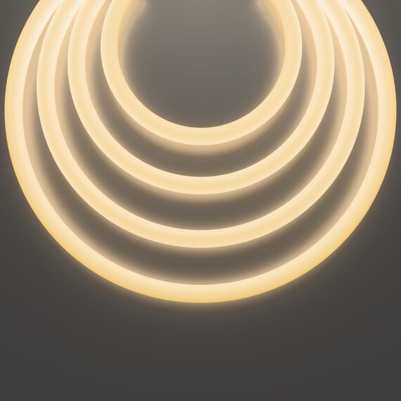 Гибкий неон Led Strip 20306, изображение 5