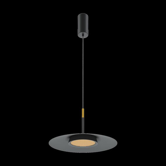 Подвесной светильник Maytoni MOD041PL-L15B3K1, изображение 7