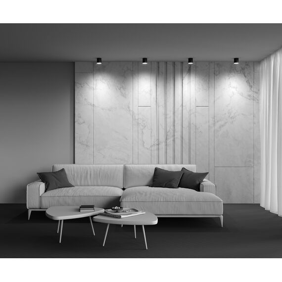 Потолочный светильник Technical C088CL-GX53-B, изображение 15