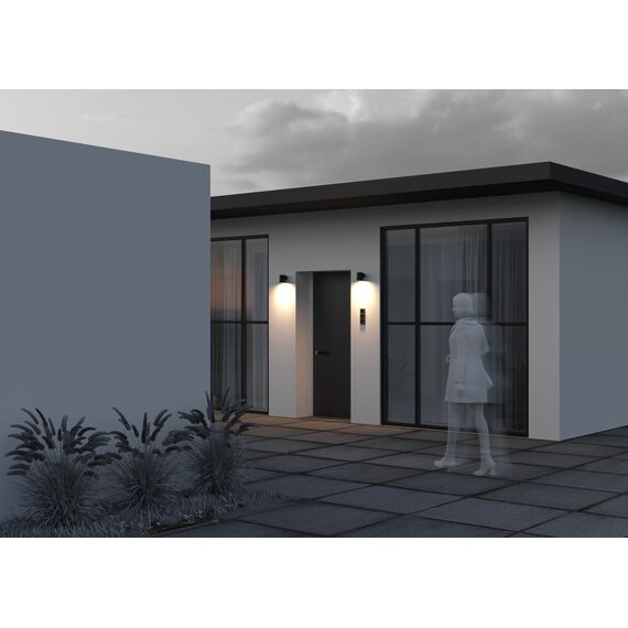 Настенный светильник (бра) Outdoor O303WL-L5GF3K, изображение 9