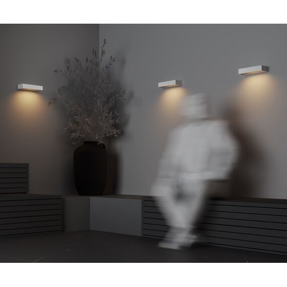 Настенный светильник (бра) Outdoor O428WL-L10W3K, изображение 14