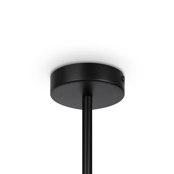 Подвесной светильник Maytoni MOD177PL-04B, изображение 16