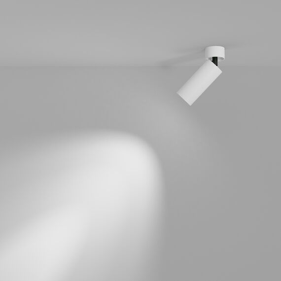 Потолочный светильник Technical C055CL-L12W3K-W-W, изображение 13