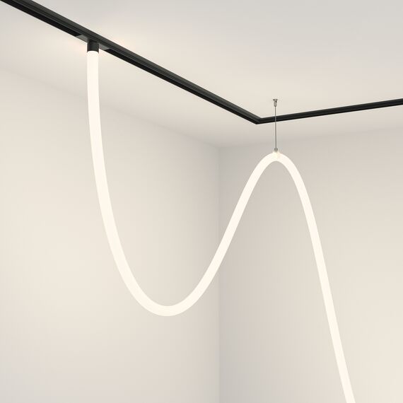 Трековый подвесной светильник Technical TR101-2-100W4K-B, изображение 2