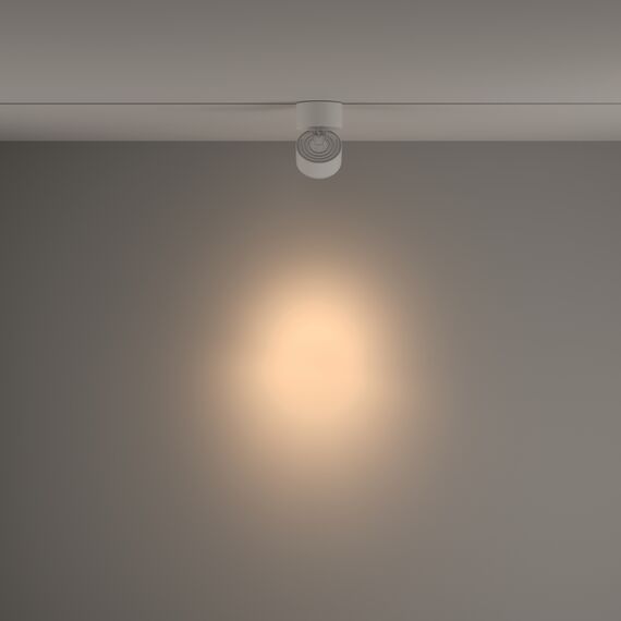 Трековый светильник Technical TR084-1-15W3K-D-W, изображение 3