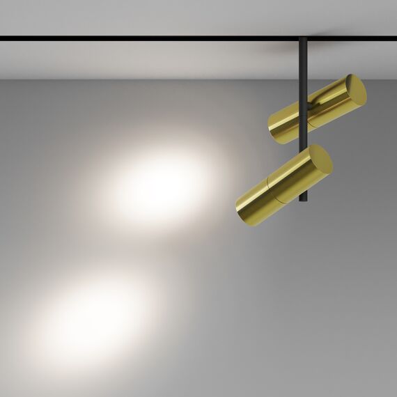 Трековый светильник Technical TR005-2-2X12W4K-BBS, изображение 4