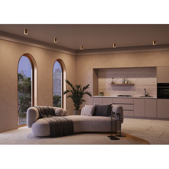 Потолочный светильник Technical C094-GU10-MG, изображение 3