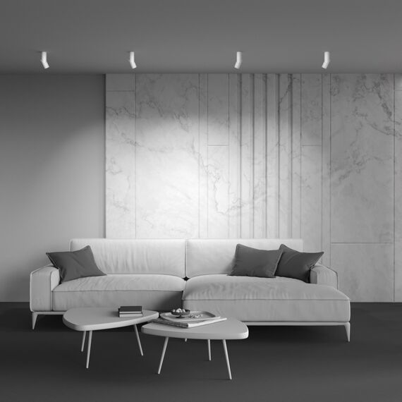 Потолочный светильник Technical C027CL-L10W4K, изображение 9