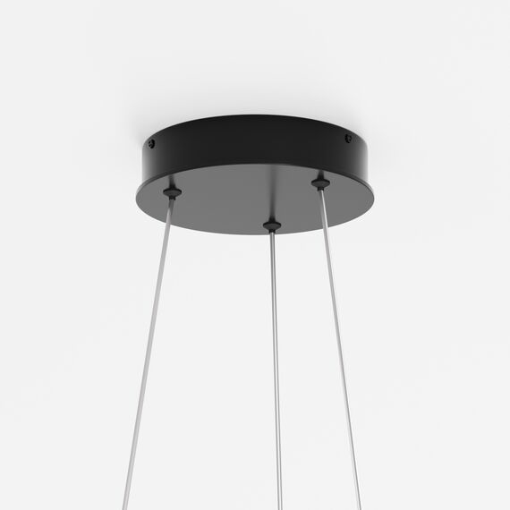 Подвесной светильник Maytoni MOD058PL-L65BK, изображение 5