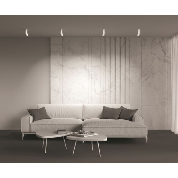 Потолочный светильник Technical C027CL-L10W4K, изображение 4